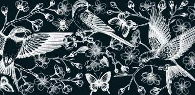 Hand drawn floral illustration for print. T-shirt design. Cherry blossom and flying bird chalk drawing. Vintage spring background. NOT AI generated